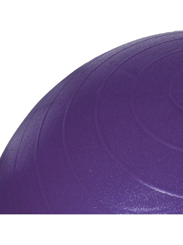Profit gimnastinis kamuolys 45 cm Violetinis su pompa DK 2102 31