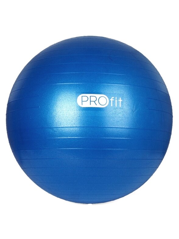 Profit gimnastikos kamuolys 65 cm mėlynas su pompa DK 2102 2