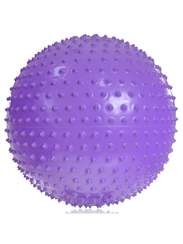 Profit masažinė gimnastikos kamuolys 55cm violetinis DK2104