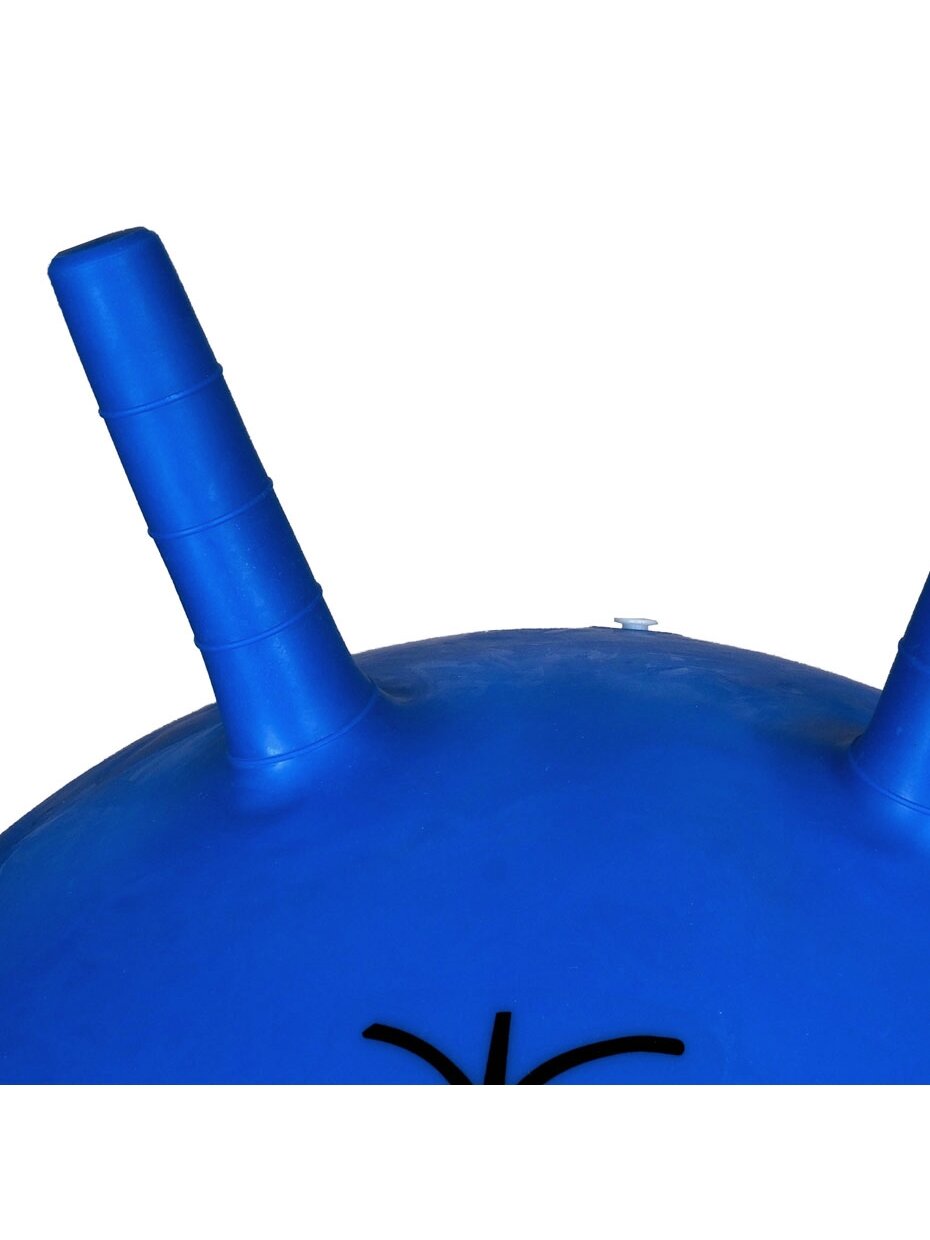 Profit šokimo kamuolys 45 cm mėlynas DK 2103 5 Profit šokimo kamuolys 45 cm mėlynas DK 2103 5