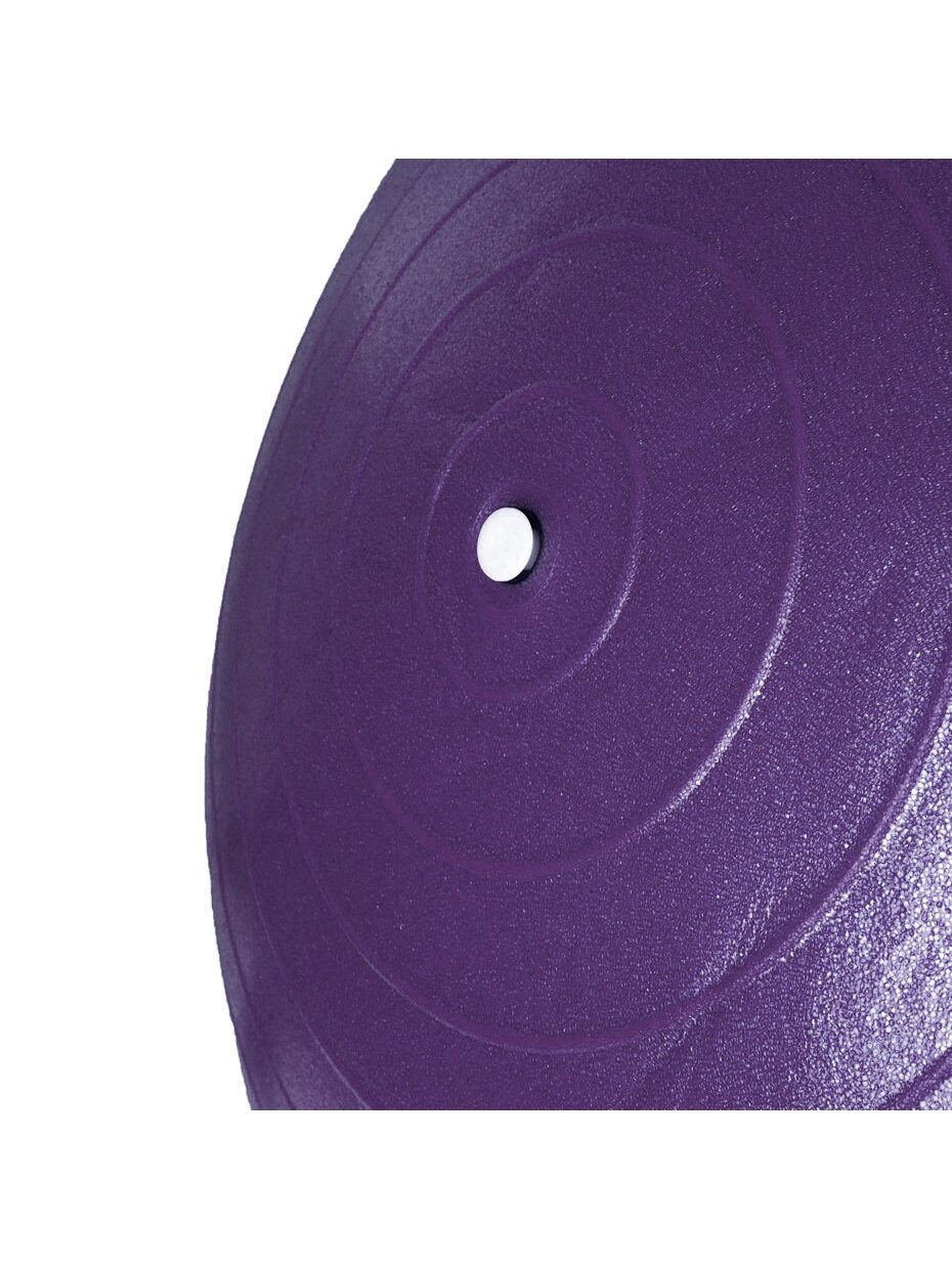 Profit gimnastinis kamuolys 45 cm Violetinis su pompa DK 2102 25
