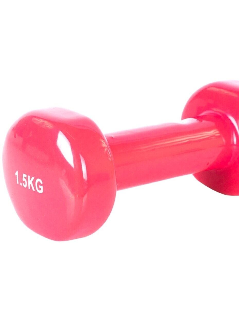 Pro fit hanteliai rožinė 2x1,5 kg DK 4102 3 Pro fit hanteliai rožinė 2x1,5 kg DK 4102 3