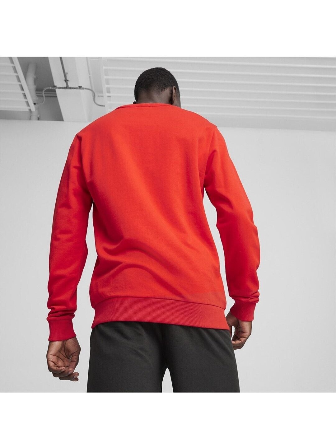 Puma Team Goal Casuals Crew Neck Sweat vyriškas džemperis raudonas 658592 01 3