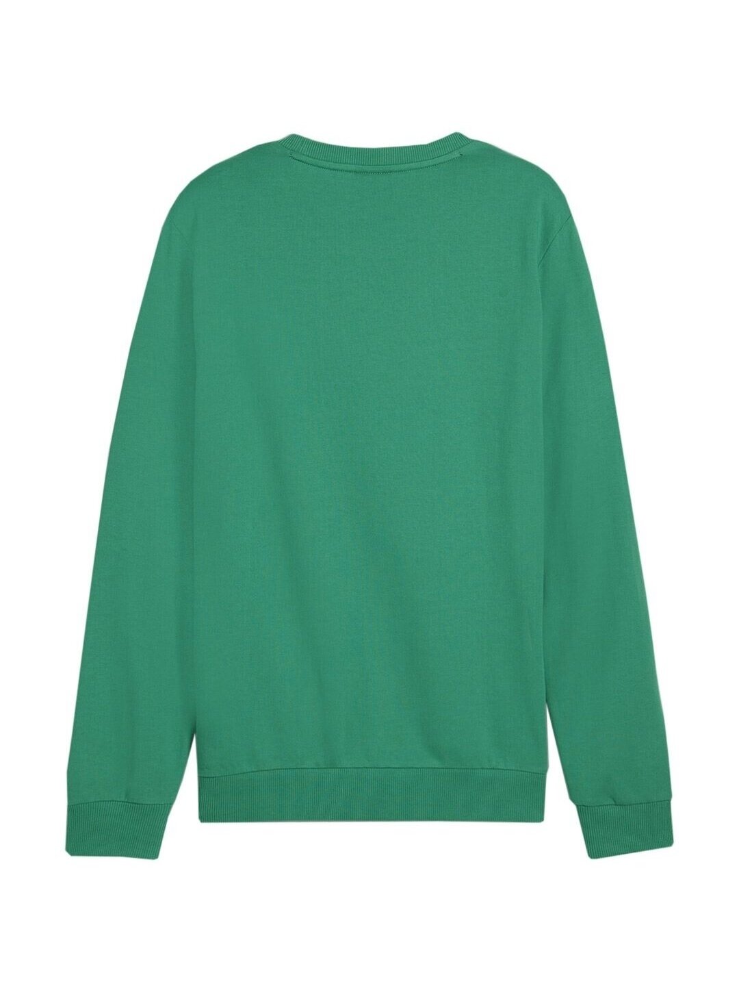 Puma Team Goal Casuals Crew Neck Sweat vyriškas džemperis žalias 658592 05 3 Puma Team Goal Casuals Crew Neck Sweat vyriškas džemperis žalias 658592 05 3