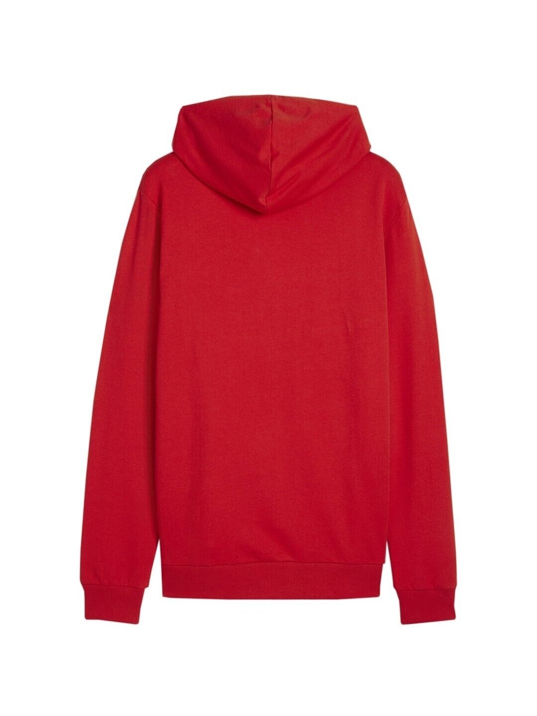 Puma Team Goal Casuals Hoody vyriškas džemperis raudonas 658618 01 1 Puma Team Goal Casuals Hoody vyriškas džemperis raudonas 658618 01 1
