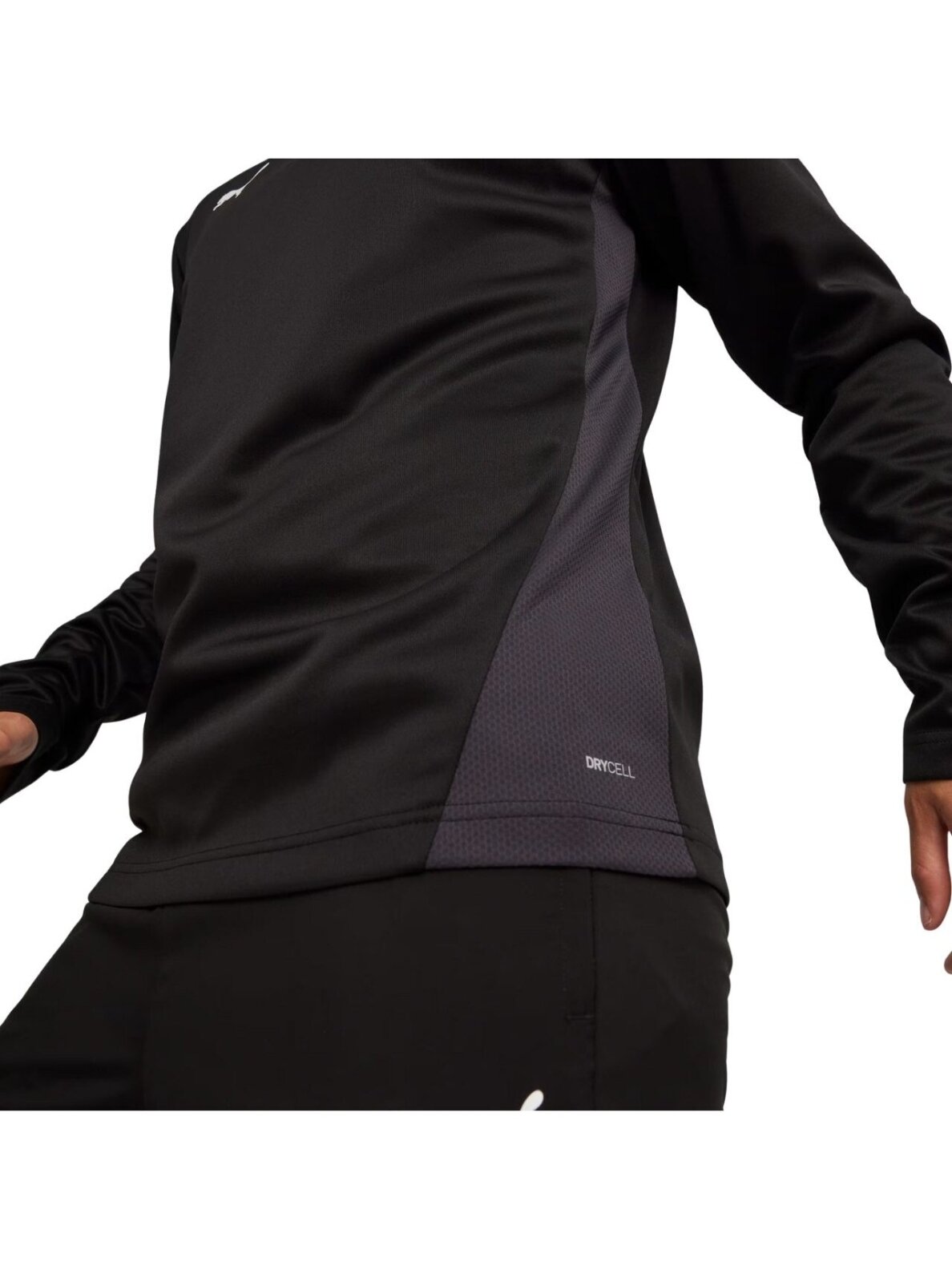 Puma TeamGoal Training 1/4 Zip Top vyrams juoda 658629 03 4