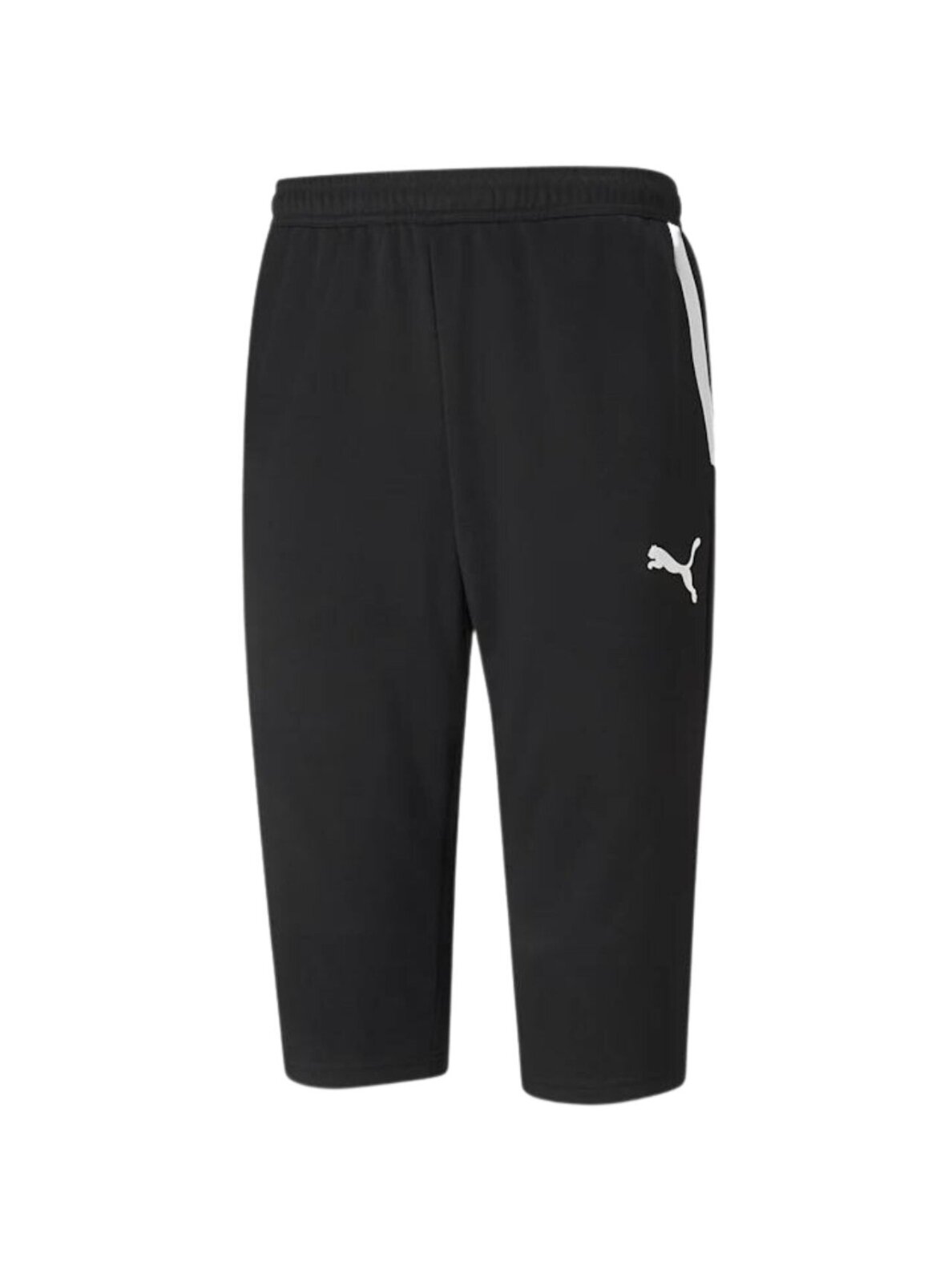 Puma teamLIGA Training 3/4 Kelnės vyriškos kelnės 657271 03 1