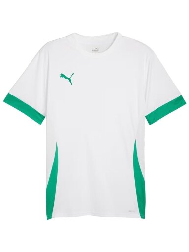 Puma teamGoal Matchday Jersey vyrams balto-žalio 705747 15