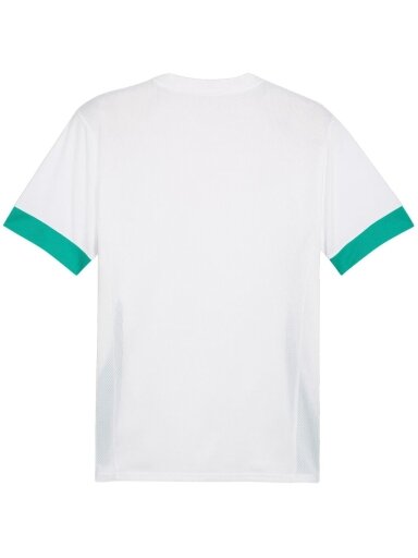 Puma teamGoal Matchday Jersey vyrams balto-žalio 705747 15
