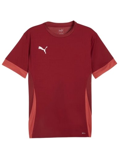 Puma teamGoal Matchday Jersey vyrams bordo spalvos futbolo marškinėliai 705747 09