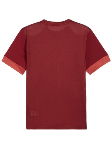 Puma teamGoal Matchday Jersey vyrams bordo spalvos futbolo marškinėliai 705747 09