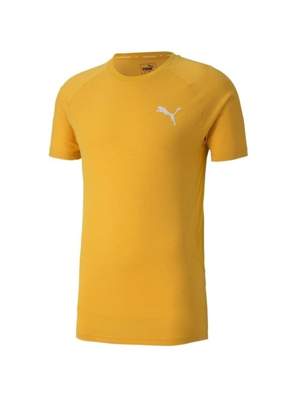 Puma Evostripe Lite Tee vyriški marškinėliai geltoni 581534 25 1 Puma Evostripe Lite Tee vyriški marškinėliai geltoni 581534 25 1