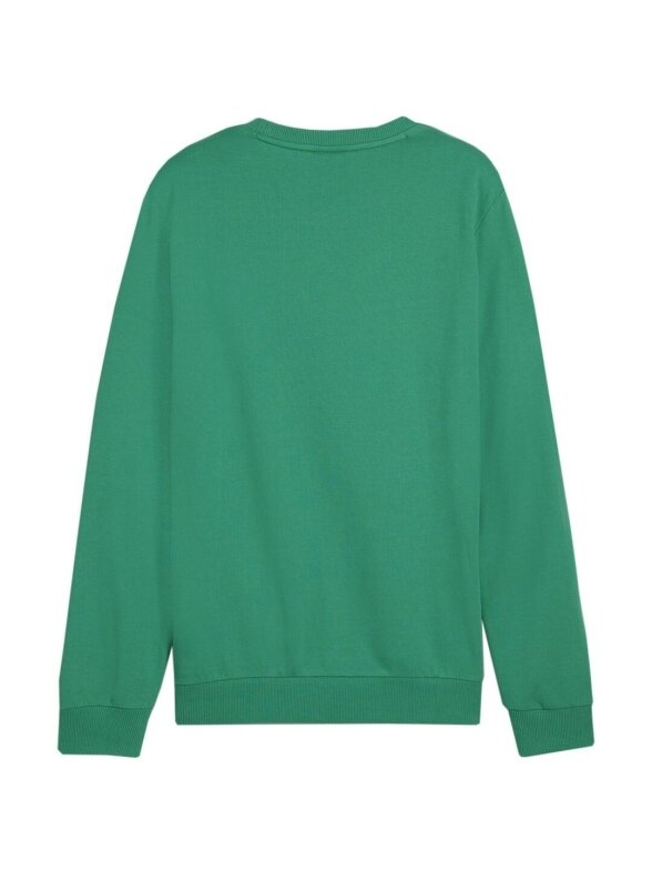 Puma Team Goal Casuals Crew Neck Sweat vyriškas džemperis žalias 658592 05 3