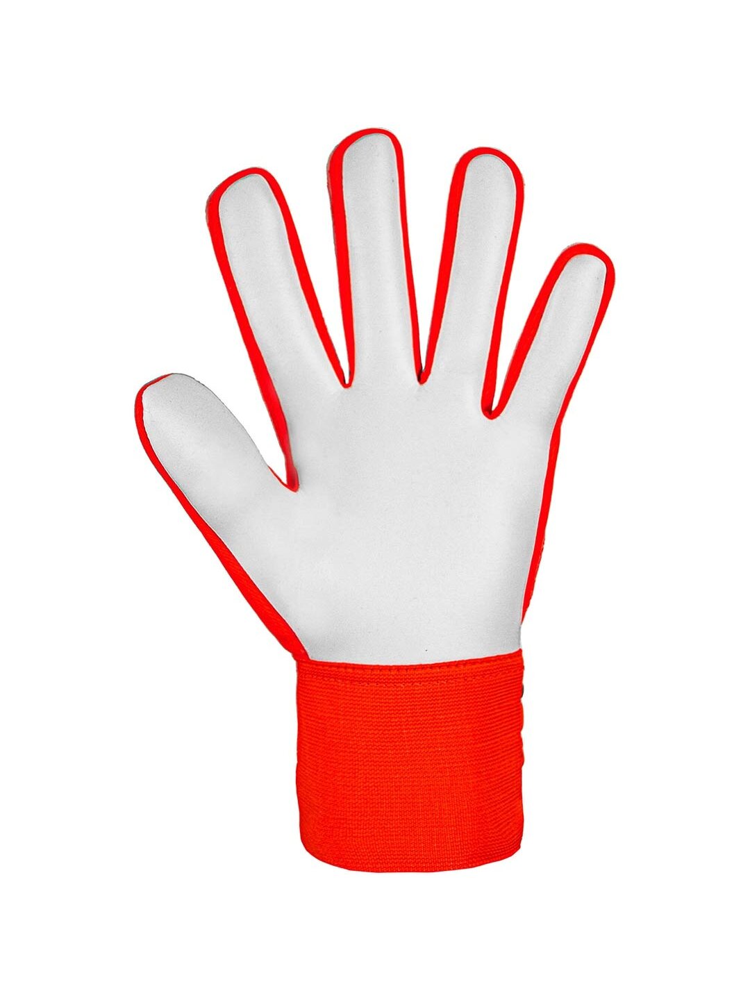Reusch Attrakt Starter Solid vartininko pirštinės oranžinės 5470514 2210 2 Reusch Attrakt Starter Solid vartininko pirštinės oranžinės 5470514 2210 2