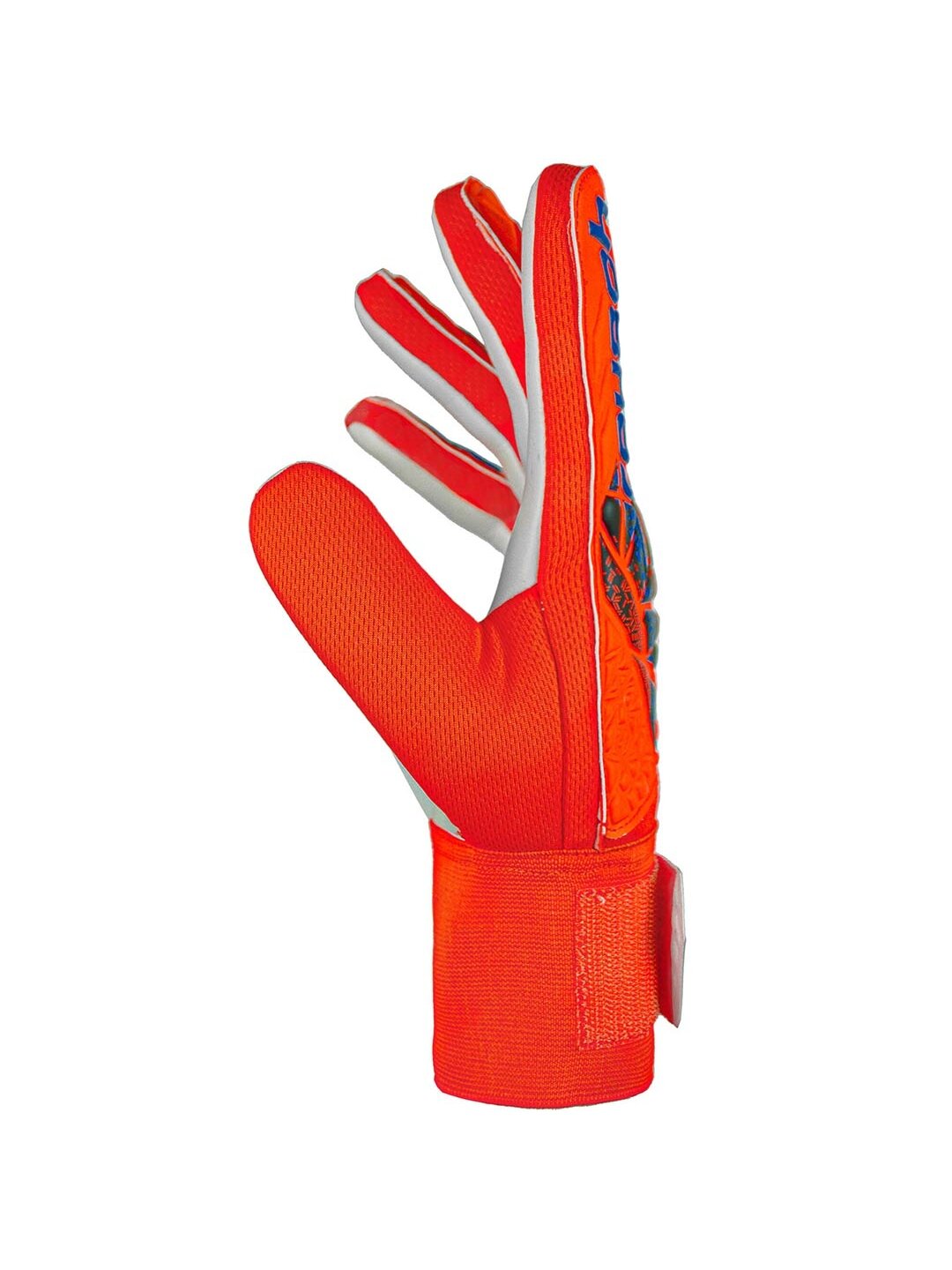 Reusch Attrakt Starter Solid vartininko pirštinės oranžinės 5470514 2210 3 Reusch Attrakt Starter Solid vartininko pirštinės oranžinės 5470514 2210 3