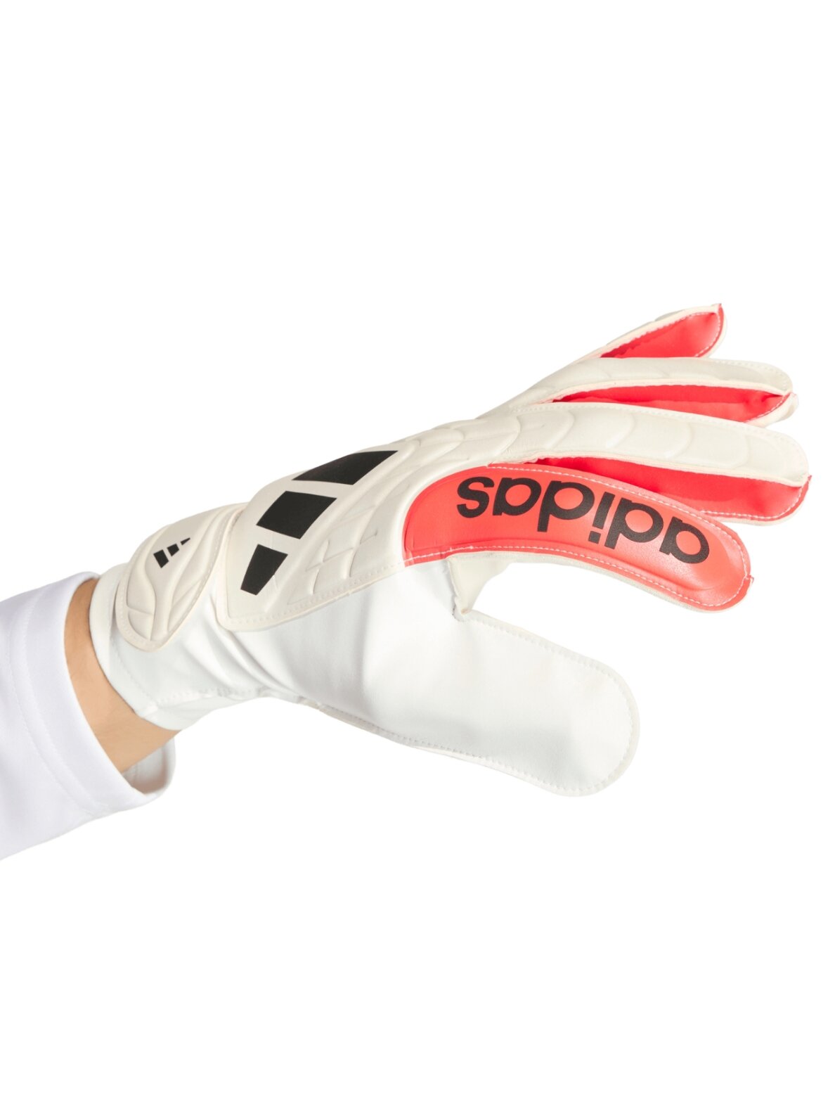 Adidas Copa Club baltos vartininko pirštinės KA7804 2 Adidas Copa Club baltos vartininko pirštinės KA7804 2