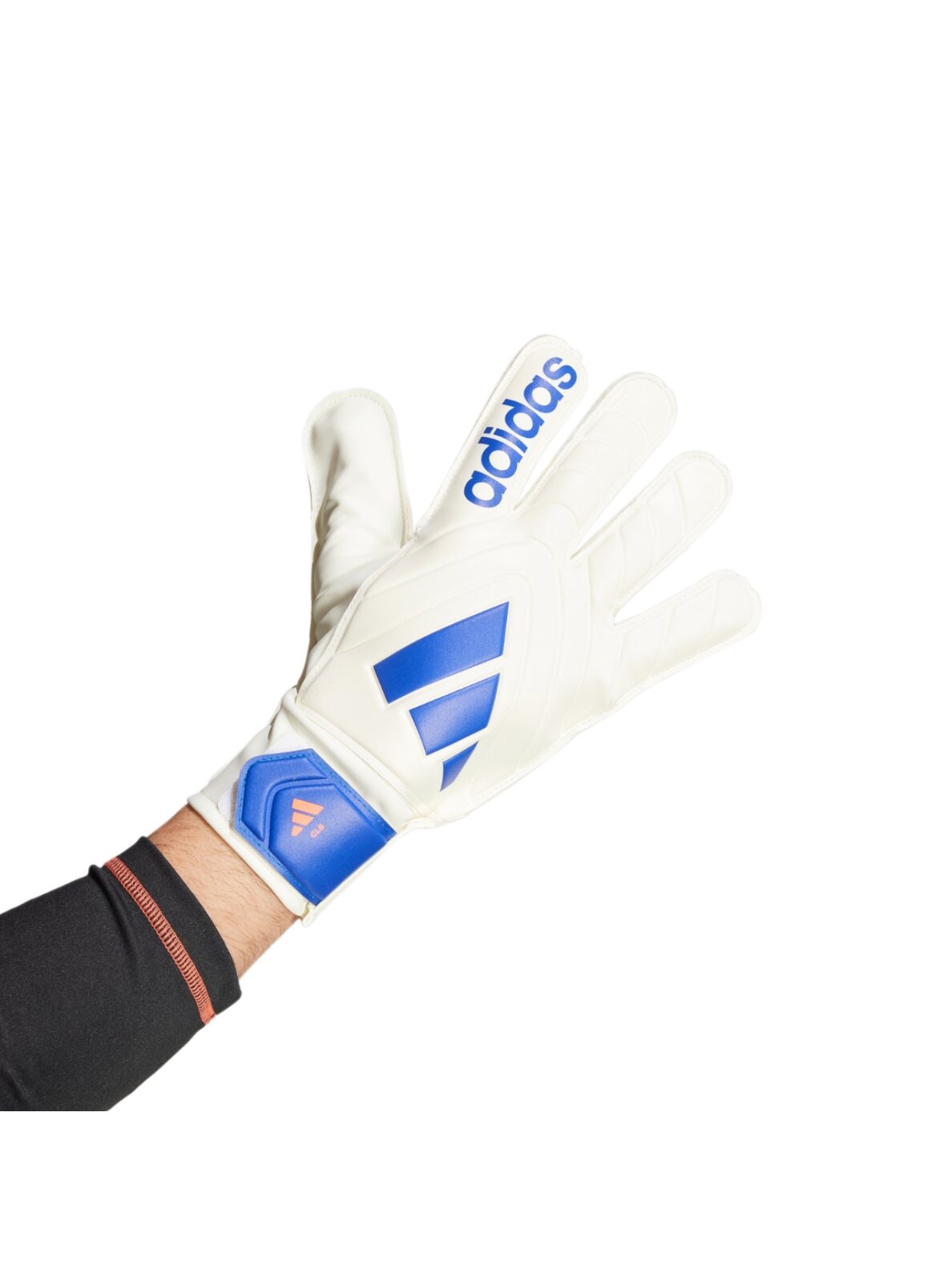 Adidas Copa Club Goalkeeper vyrams balto-mėlyni pirštinės IX3835 1 Adidas Copa Club Goalkeeper vyrams balto-mėlyni pirštinės IX3835 1