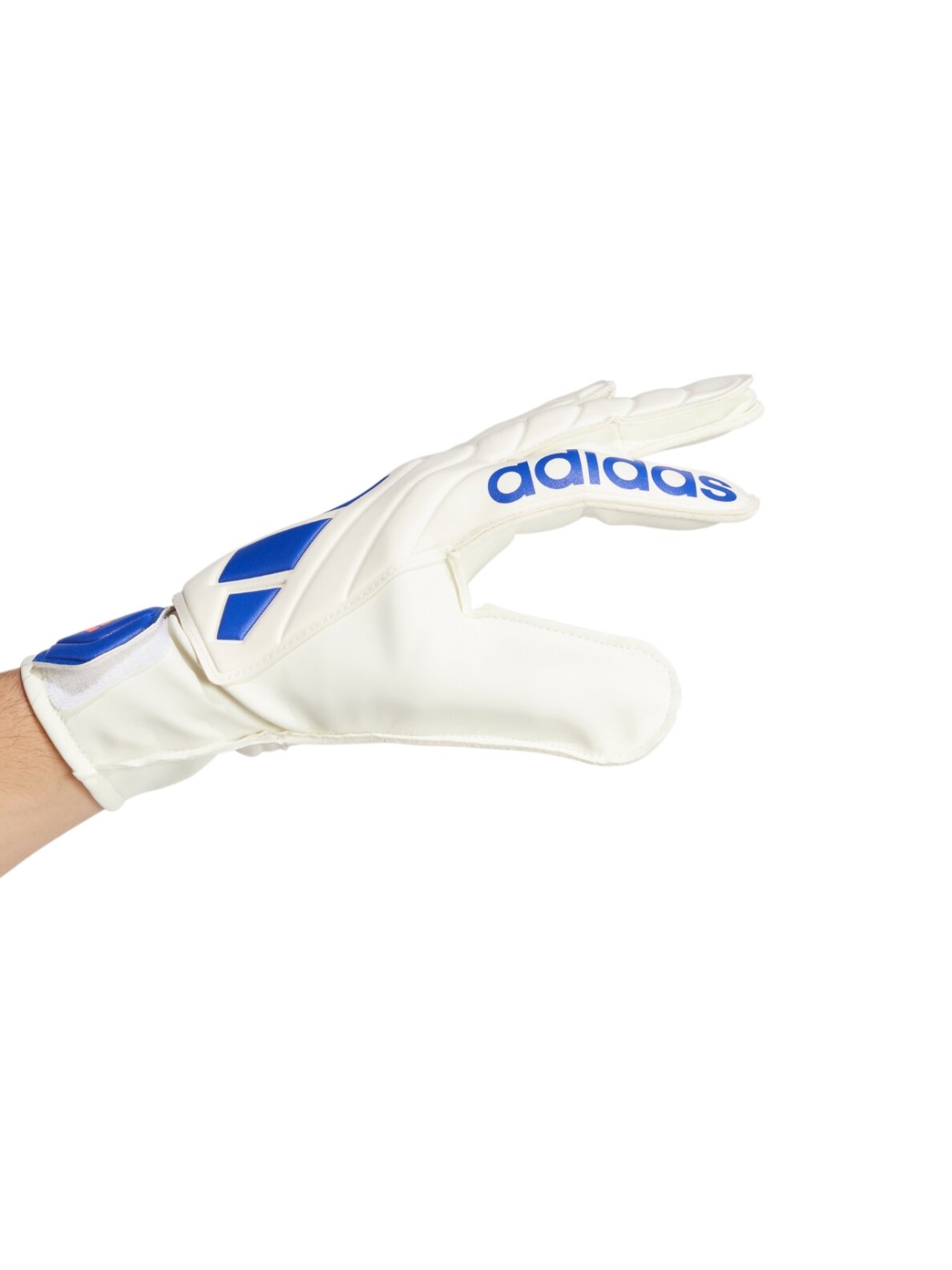Adidas Copa Club Goalkeeper vyrams balto-mėlyni pirštinės IX3835 2 Adidas Copa Club Goalkeeper vyrams balto-mėlyni pirštinės IX3835 2