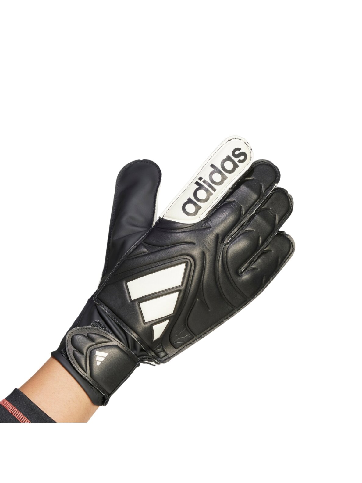 adidas Copa Club Goalkeeper vyrų vartininko pirštinės juodos JY0625 1