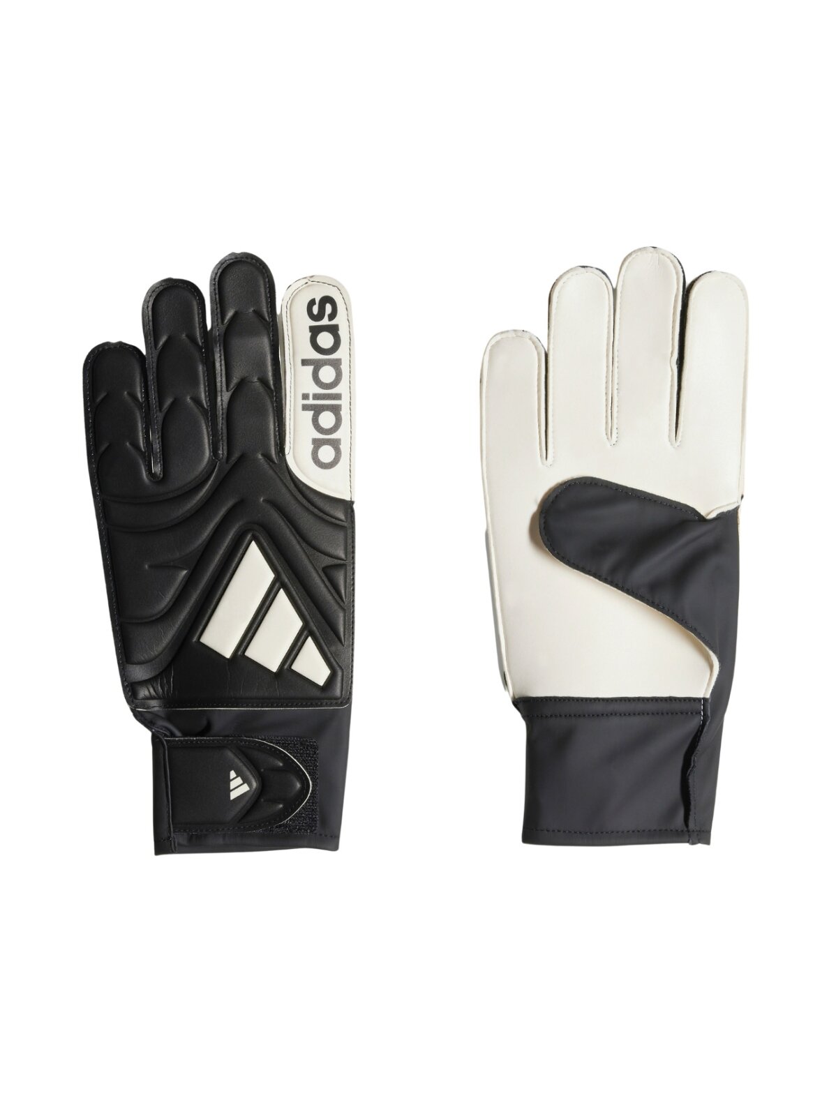 adidas Copa Club Goalkeeper vyrų vartininko pirštinės juodos JY0625