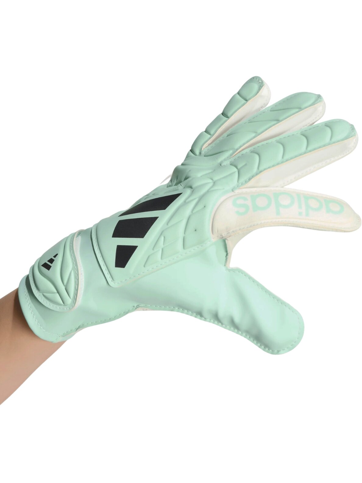 adidas vaikiškos vartininko pirštinės Copa Club, mėtų žalios-baltos KE9735 3 adidas vaikiškos vartininko pirštinės Copa Club, mėtų žalios-baltos KE9735 3