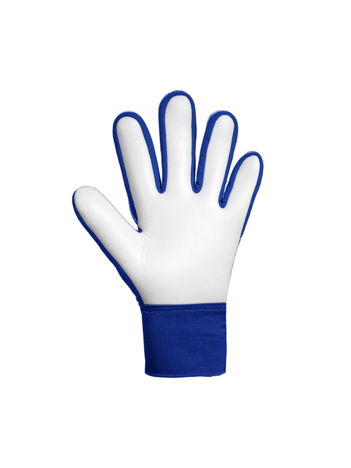 Reusch Attrakt Starter Solid Junior vartininko pirštinės vaikams, mėlynos 2