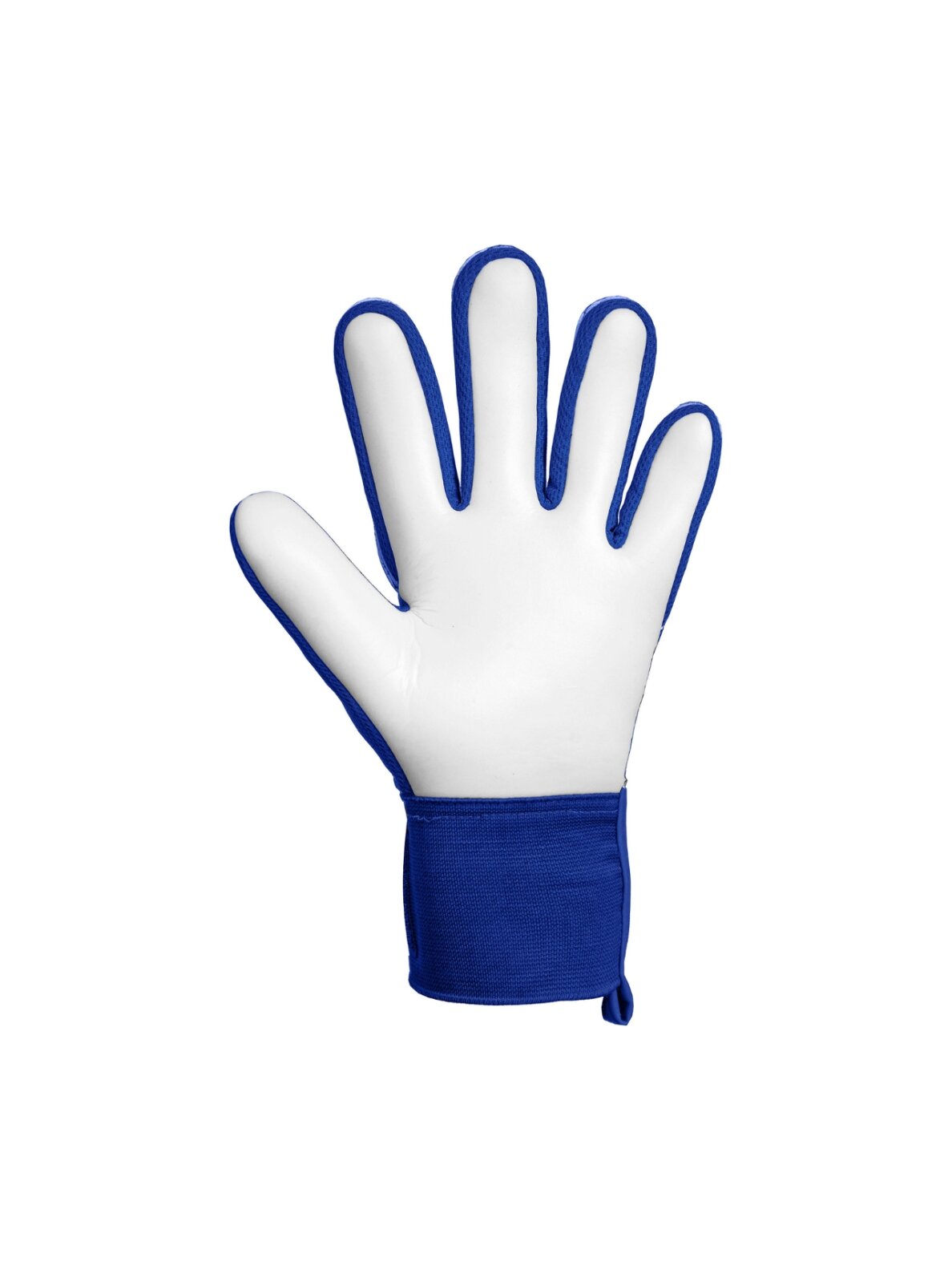 Reusch Attrakt Starter Solid vyrams vartininko pirštinės, mėlynos 2 Reusch Attrakt Starter Solid vyrams vartininko pirštinės, mėlynos 2