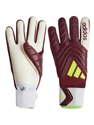 Adidas Copa GL League vartininko pirštinės, bordo spalvos IQ4012