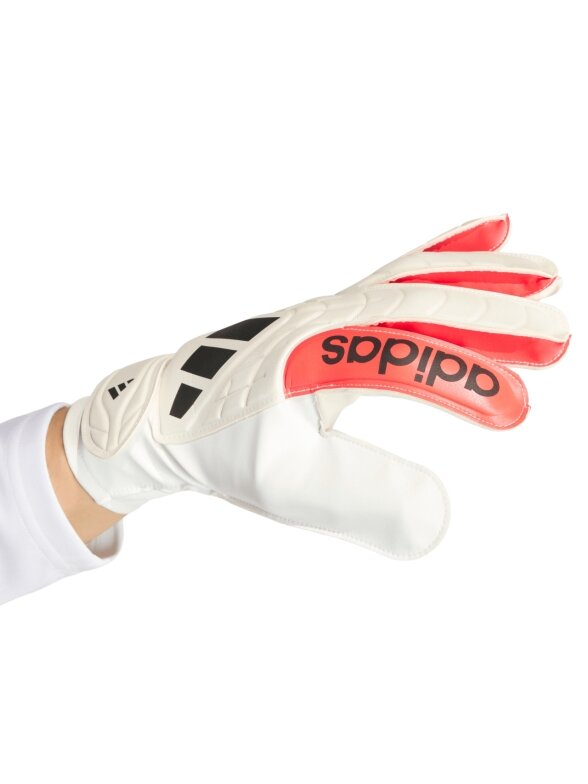 Adidas Copa Club baltos vartininko pirštinės KA7804 2