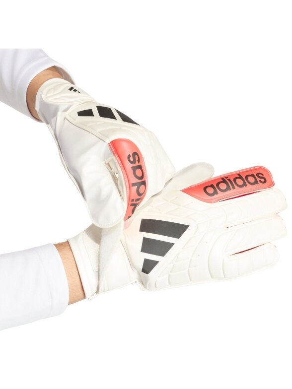 Adidas Copa Club baltos vartininko pirštinės KA7804 3