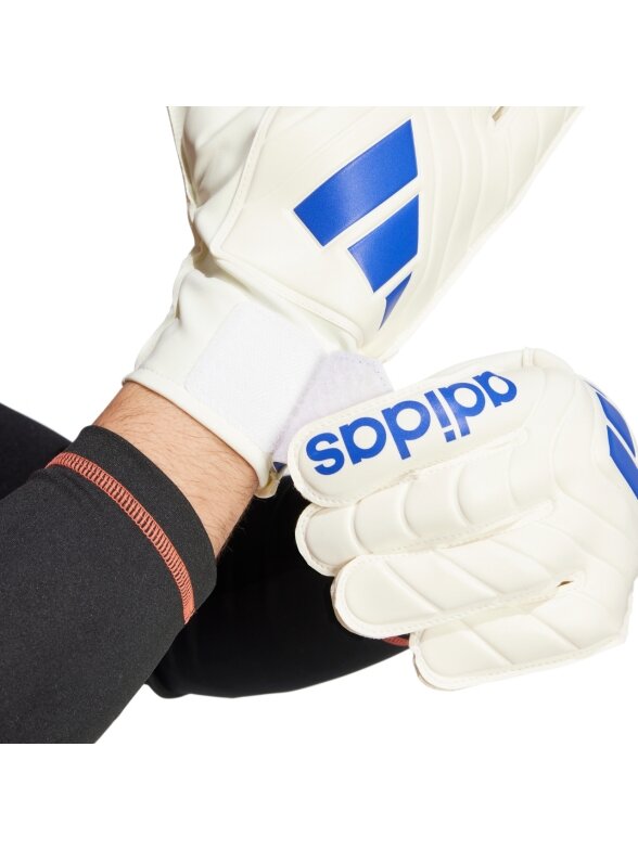Adidas Copa Club Goalkeeper vyrams balto-mėlyni pirštinės IX3835 3