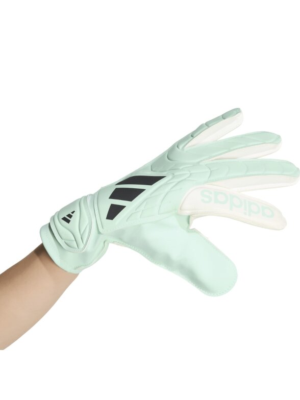 adidas vartininko pirštinės Copa Club, mėtų žalios-baltos KE9730 3