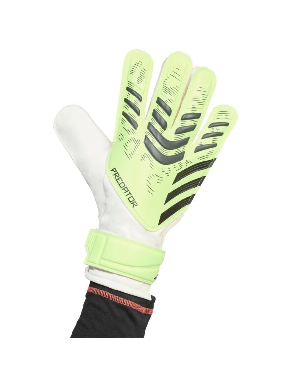 adidas Predator Training vyrams limonkavės spalvos JN5356 1