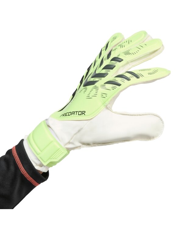 adidas Predator Training vyrams limonkavės spalvos JN5356 2