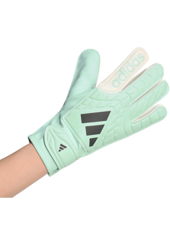 adidas vaikiškos vartininko pirštinės Copa Club, mėtų žalios-baltos KE9735 1 adidas vaikiškos vartininko pirštinės Copa Club, mėtų žalios-baltos KE9735 1