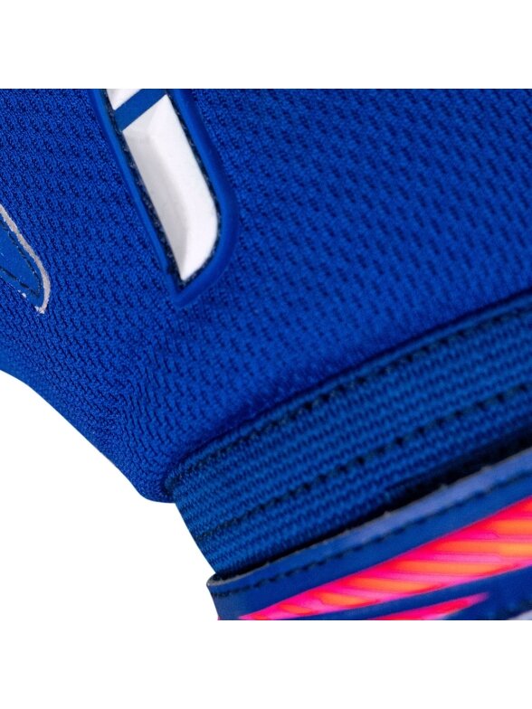 Reusch Attrakt Infinity Evolution NC vyrams vartininko pirštinės mėlynos-juodos 4 Reusch Attrakt Infinity Evolution NC vyrams vartininko pirštinės mėlynos-juodos 4