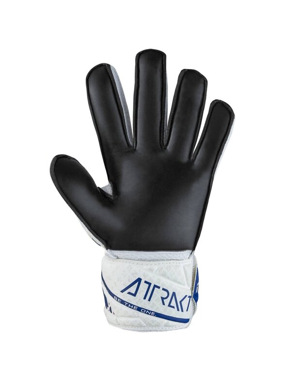 Reusch Attrakt Solid vartininko pirštinės baltos ir mėlynos spalvos 5470016 8906 2 Reusch Attrakt Solid vartininko pirštinės baltos ir mėlynos spalvos 5470016 8906 2