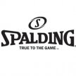 spalding-brand-logo-1