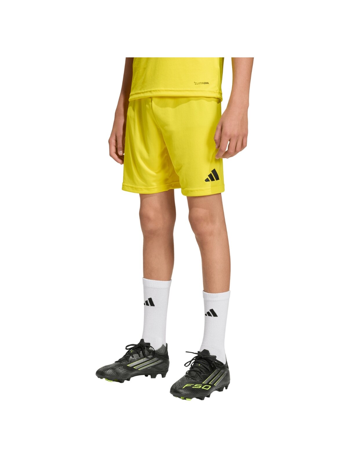 Adidas Entrada 26 šortai vaikams geltoni JZ6525