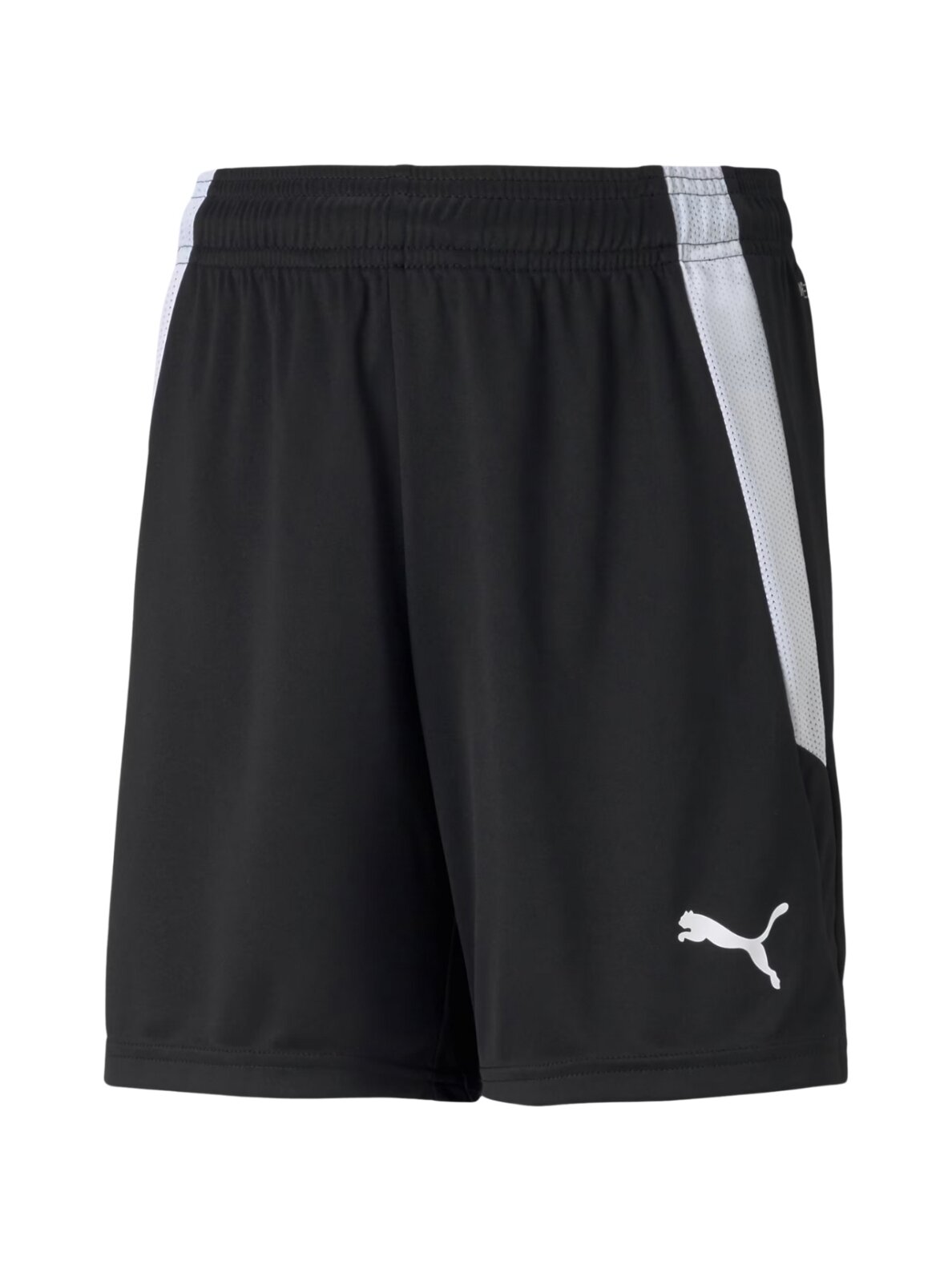 Puma teamLIGA Shorts vaikiški šortai juodi 704931 03
