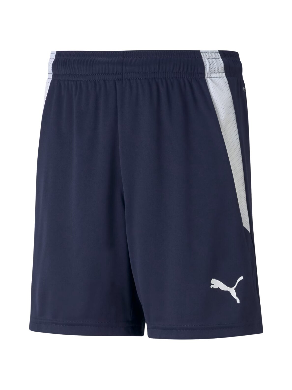 Puma teamLIGA Shorts Jr vaikiški šortai, tamsiai mėlyni 704931 06
