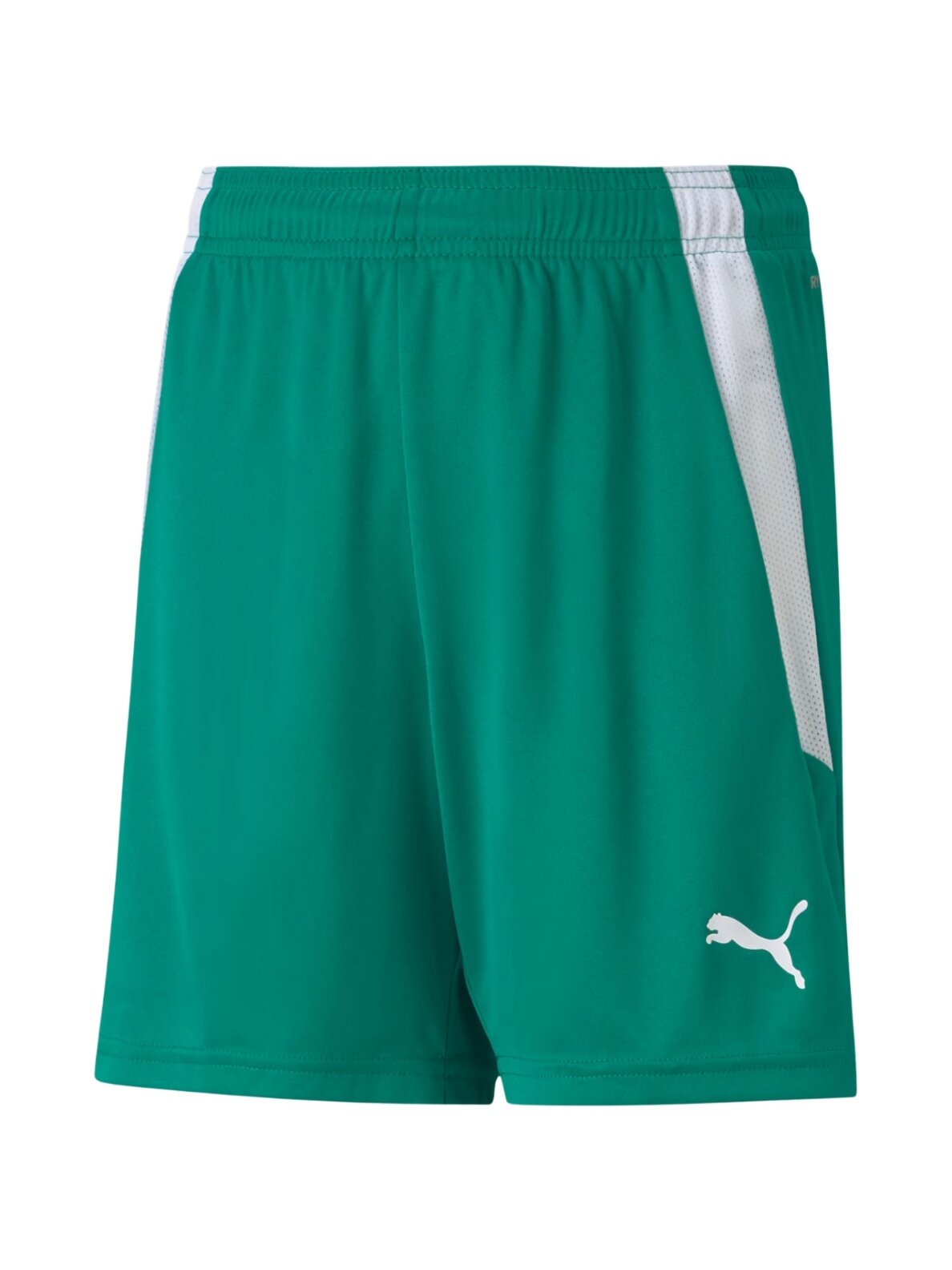 Puma teamLIGA Shorts Jr vaikiški šortai žali 704931 05 Puma teamLIGA Shorts Jr vaikiški šortai žali 704931 05