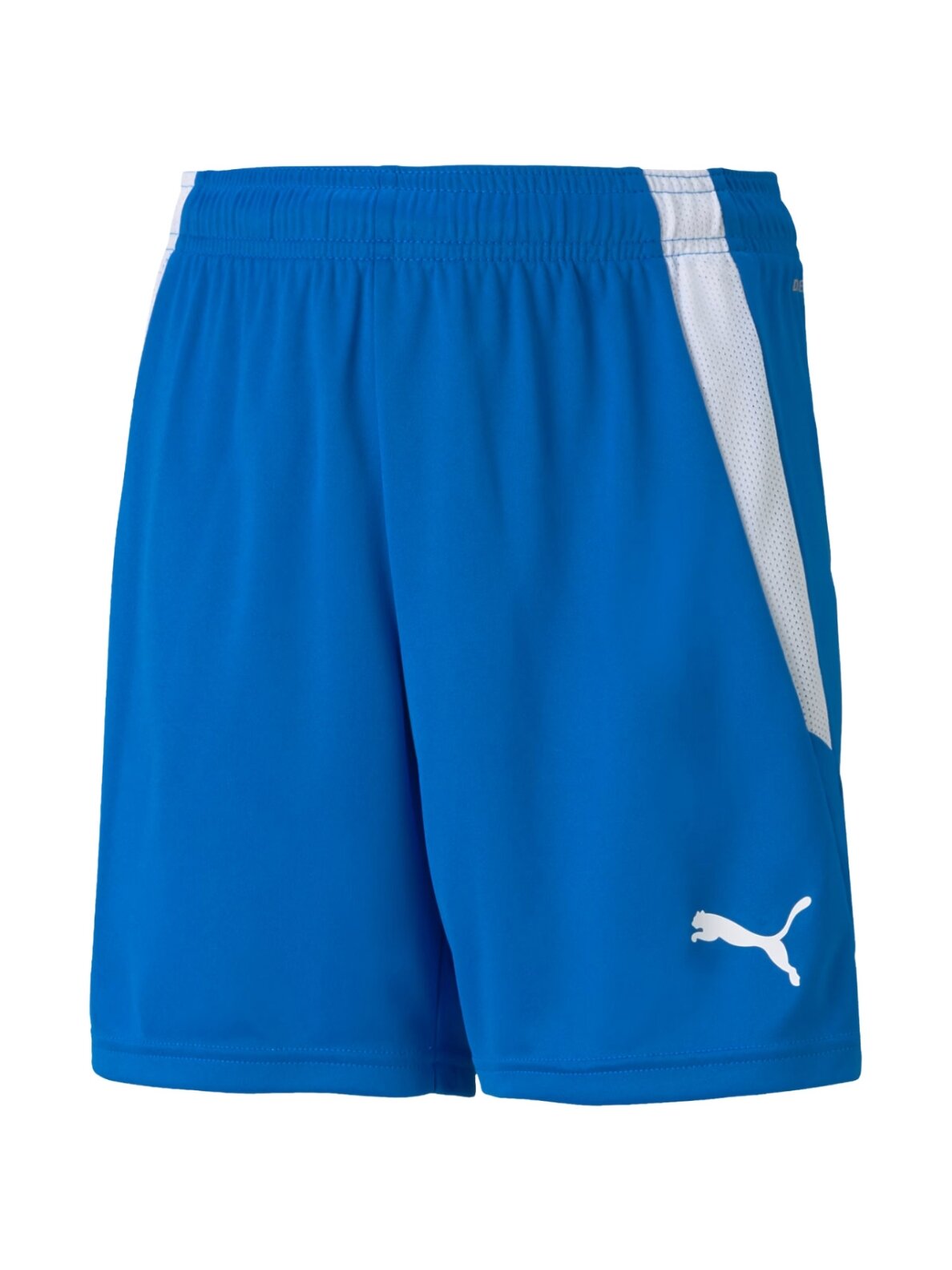 Puma teamLIGA Shorts Junior vaikiški šortai mėlyni 704931 02