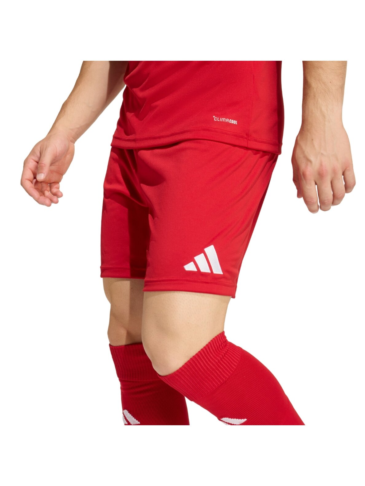 Adidas Entrada 26 vyrams raudoni šortai JZ2517 3 Adidas Entrada 26 vyrams raudoni šortai JZ2517 3