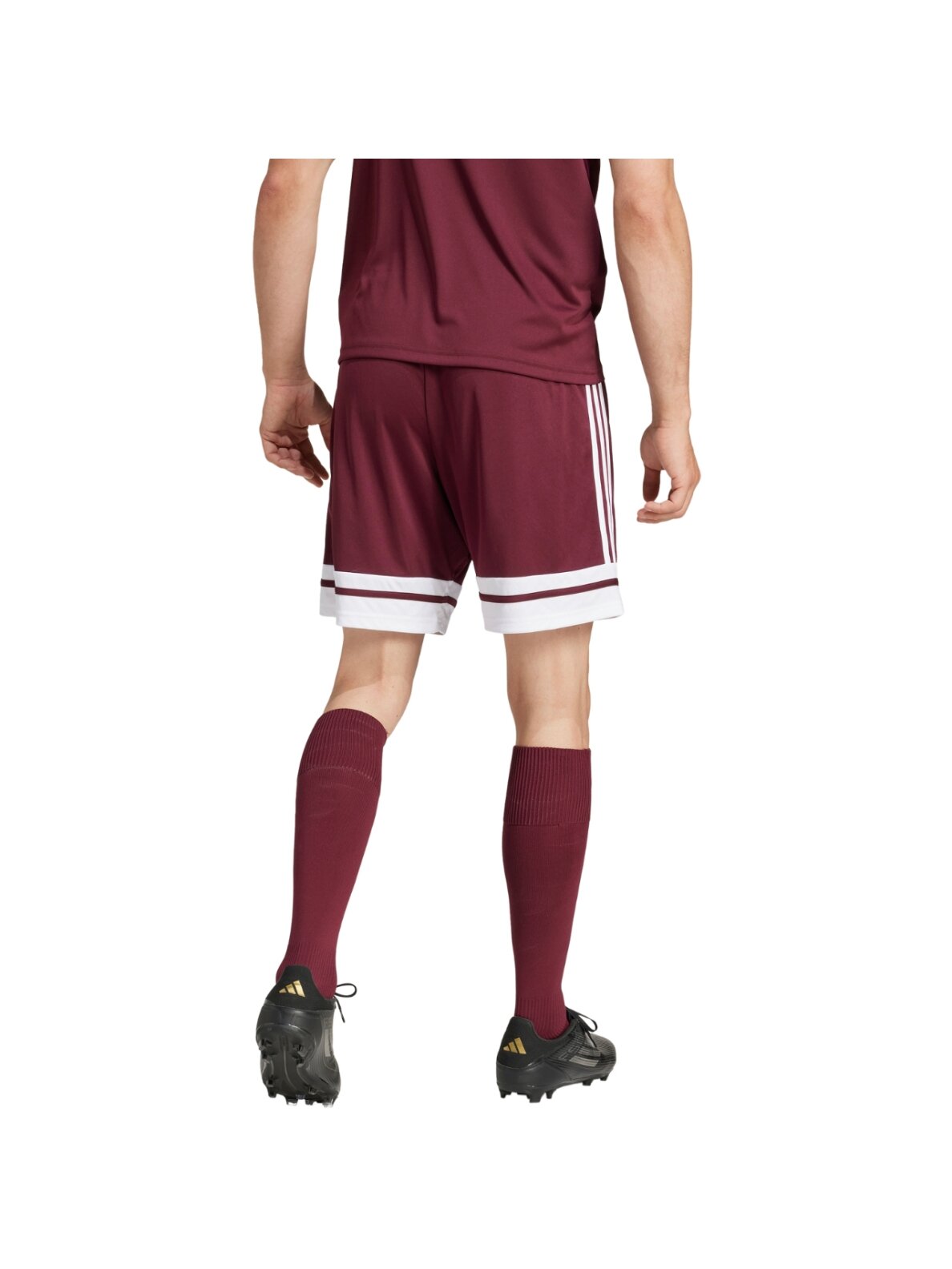 adidas Squadra 25 trumpikės vyrams bordo JC8677 2