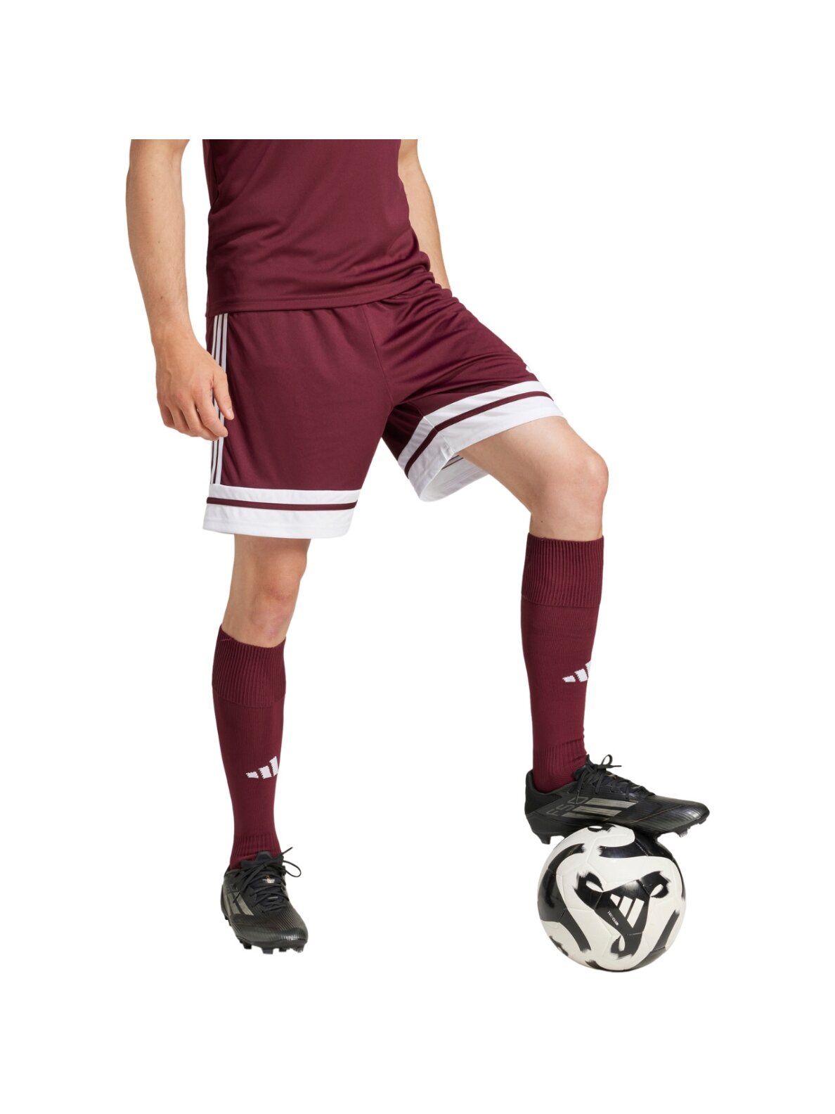 adidas Squadra 25 trumpikės vyrams bordo JC8677