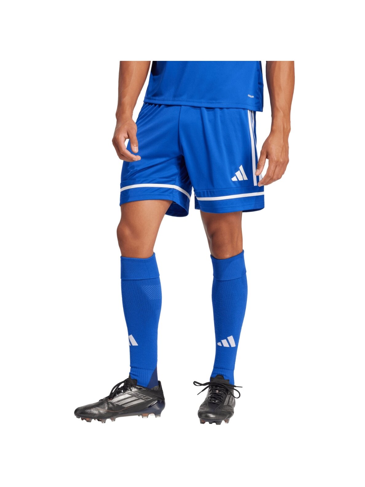 Adidas Squadra 25 šortai vyrams mėlyni JN5465 Adidas Squadra 25 šortai vyrams mėlyni JN5465