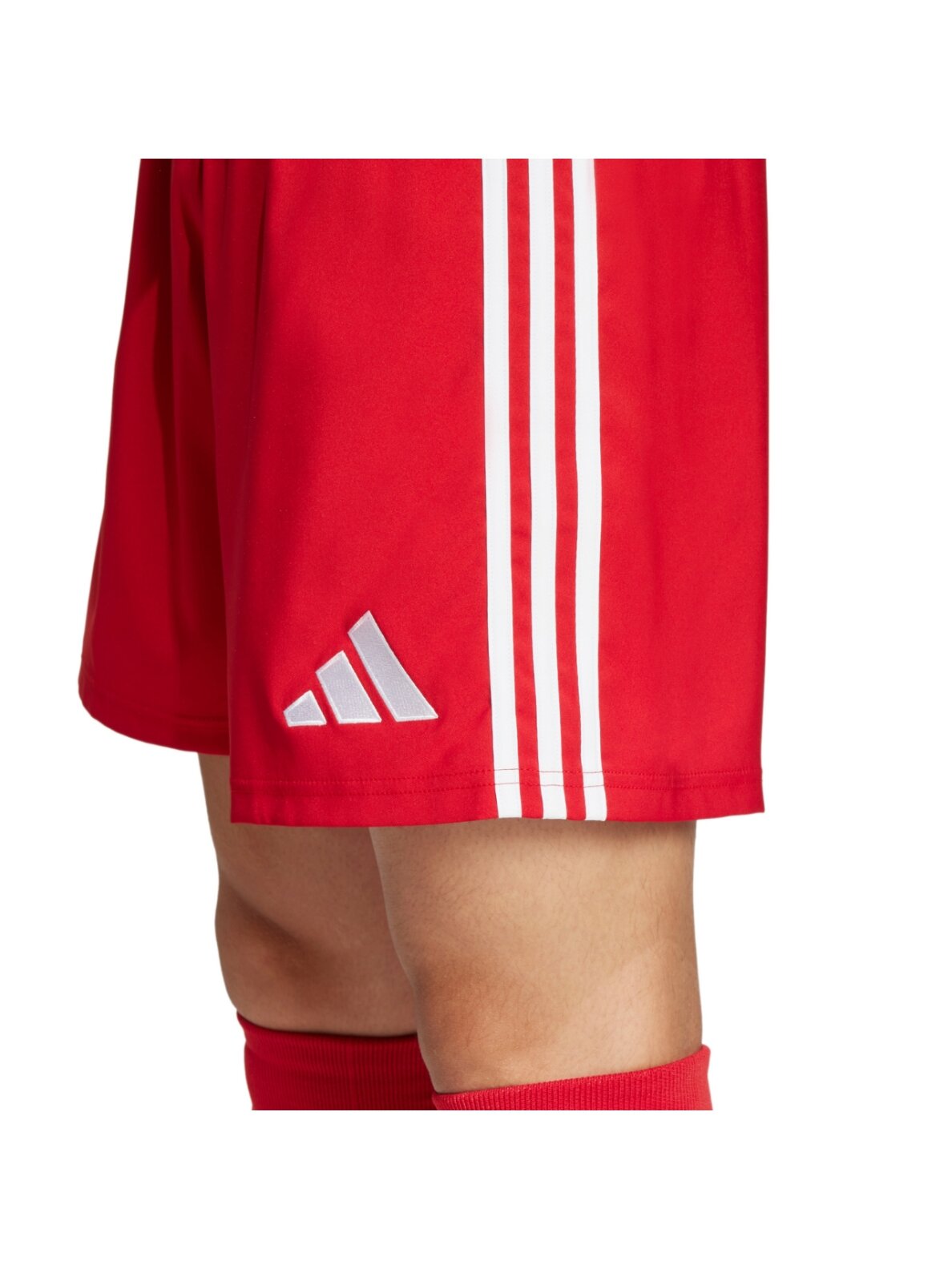 Adidas Tastigo 25 vyrams raudoni šortai JN7157 5