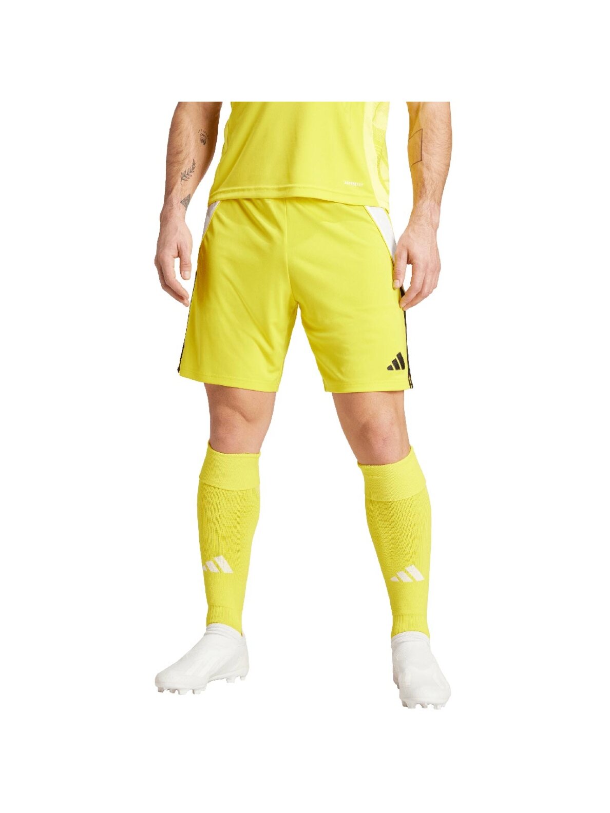 Adidas Tiro 24 vyriški šortai geltoni IS1409 2 Adidas Tiro 24 vyriški šortai geltoni IS1409 2