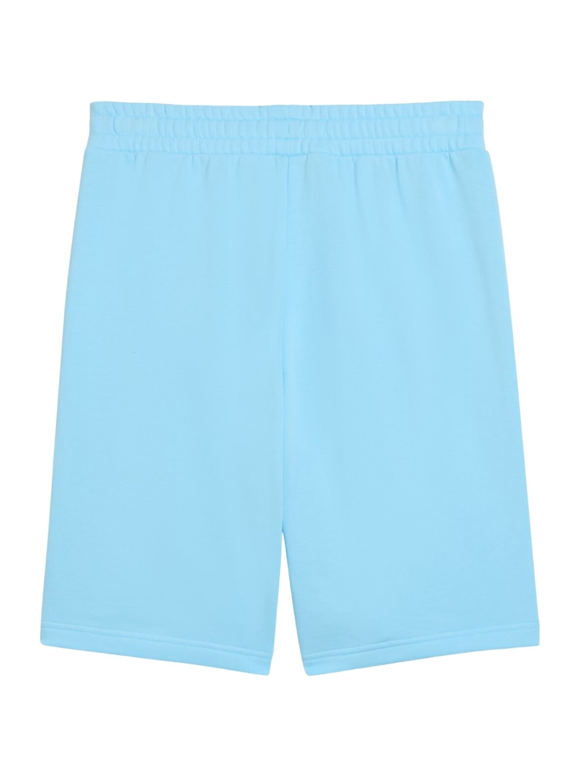 Puma vyriški šortai ESS No.1 Logo 10" (S) šviesiai mėlyni 682595 45 1